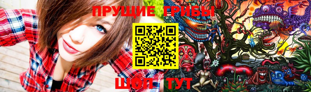 Галлюциногенные грибы GOLDEN TEACHER  Вход с VPN  Мытищи 